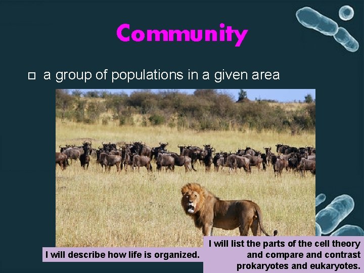Community a group of populations in a given area I will list the parts