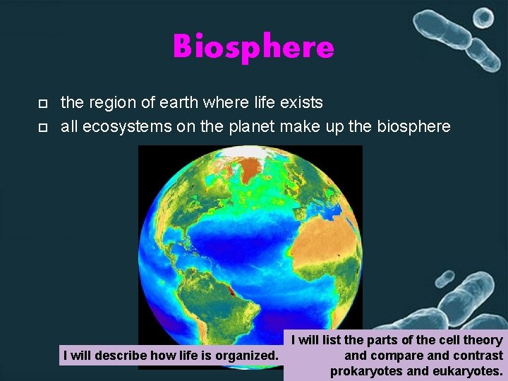 Biosphere the region of earth where life exists all ecosystems on the planet make