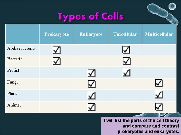 Prokaryote Eukaryote Unicellular Multicellular Archaebacteria Bacteria Protist Fungi Plant Animal I will list the