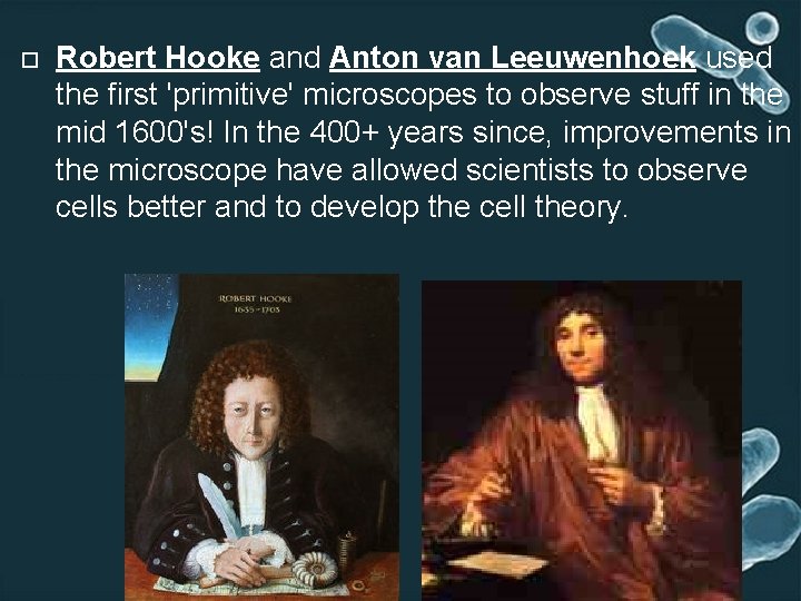  Robert Hooke and Anton van Leeuwenhoek used the first 'primitive' microscopes to observe