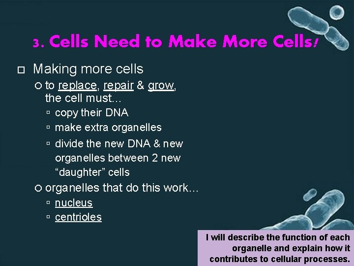 3. Cells Need to Make More Cells! Making more cells to replace, repair &