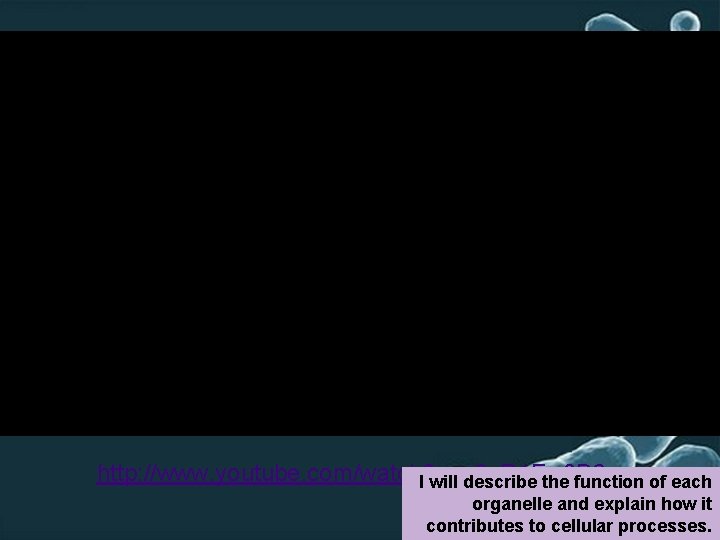 http: //www. youtube. com/watch? v=o 3 x. R 1 Fw 0 B 6 w