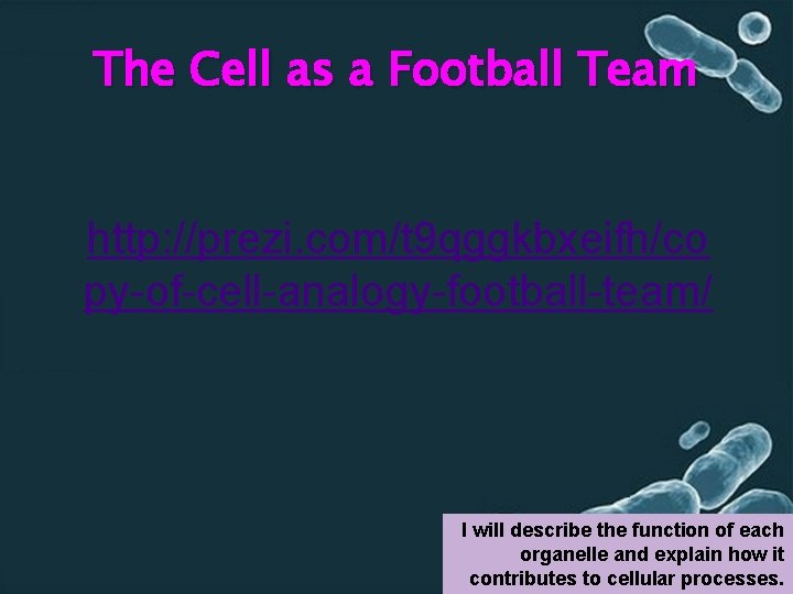 The Cell as a Football Team http: //prezi. com/t 9 qggkbxeifh/co py-of-cell-analogy-football-team/ I will