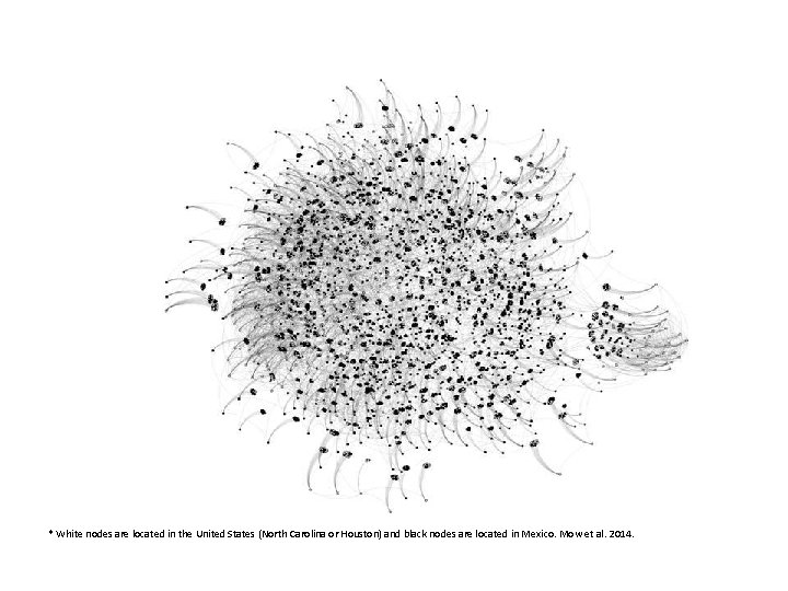 * White nodes are located in the United States (North Carolina or Houston) and