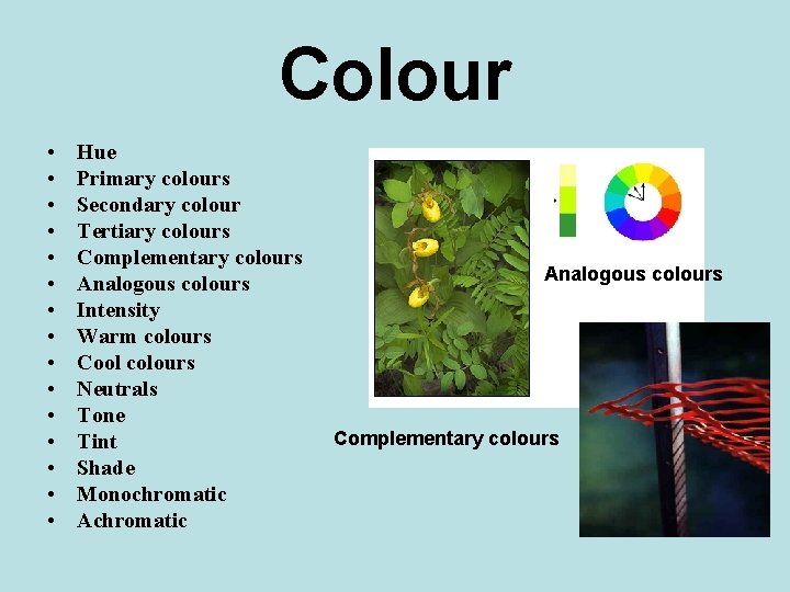 Colour • • • • Hue Primary colours Secondary colour Tertiary colours Complementary colours