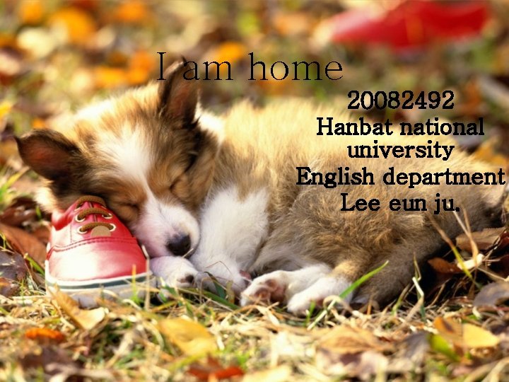 I am home 20082492 Hanbat national university English department Lee eun ju. 