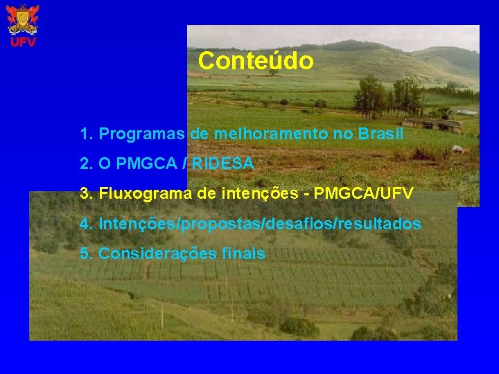 UFV Conteúdo 1. Programas de melhoramento no Brasil 2. O PMGCA / RIDESA 3.