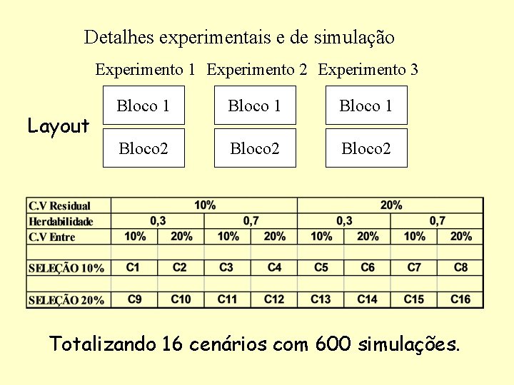 Detalhes experimentais e de simulação Experimento 1 Experimento 2 Experimento 3 Layout Bloco 1