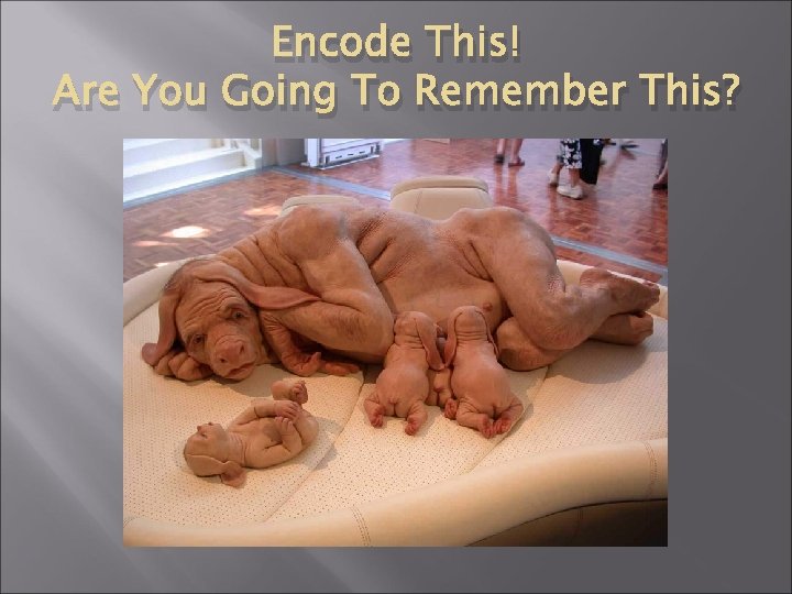 Encode This! Are You Going To Remember This? 