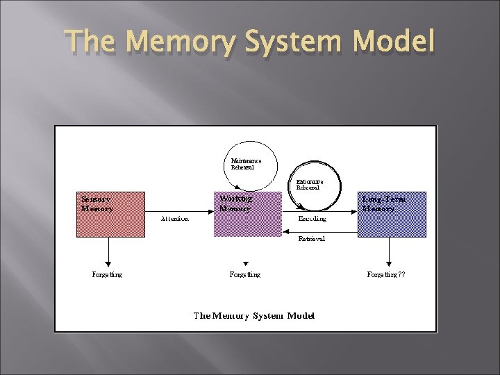 The Memory System Model 