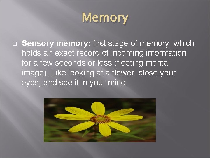 Memory Sensory memory: first stage of memory, which holds an exact record of incoming