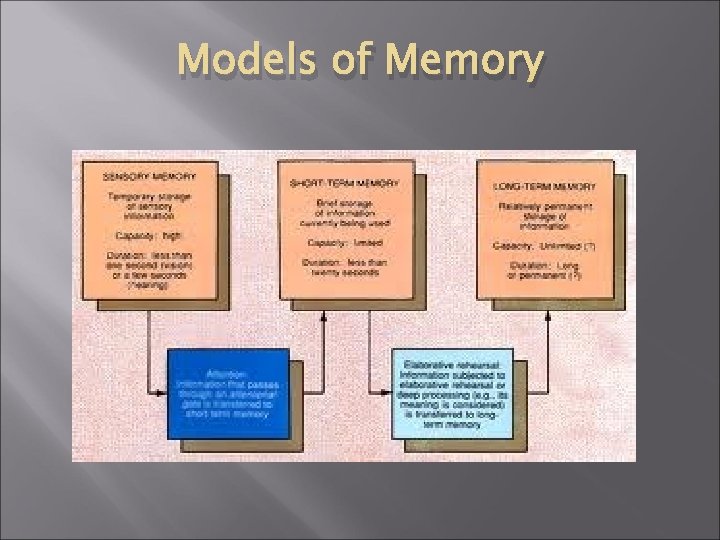 Models of Memory 