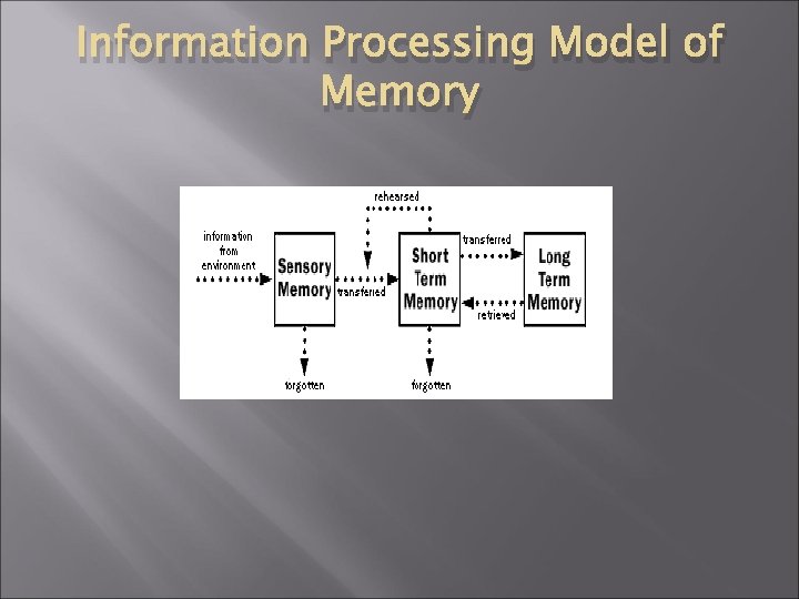 Information Processing Model of Memory 