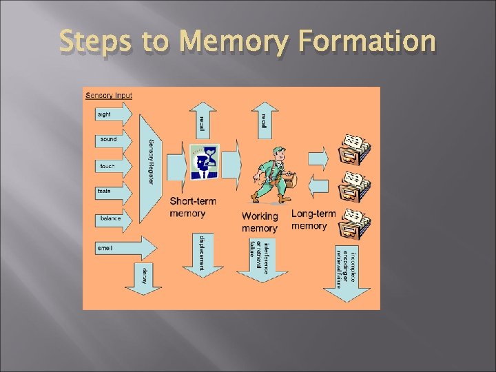 Steps to Memory Formation 