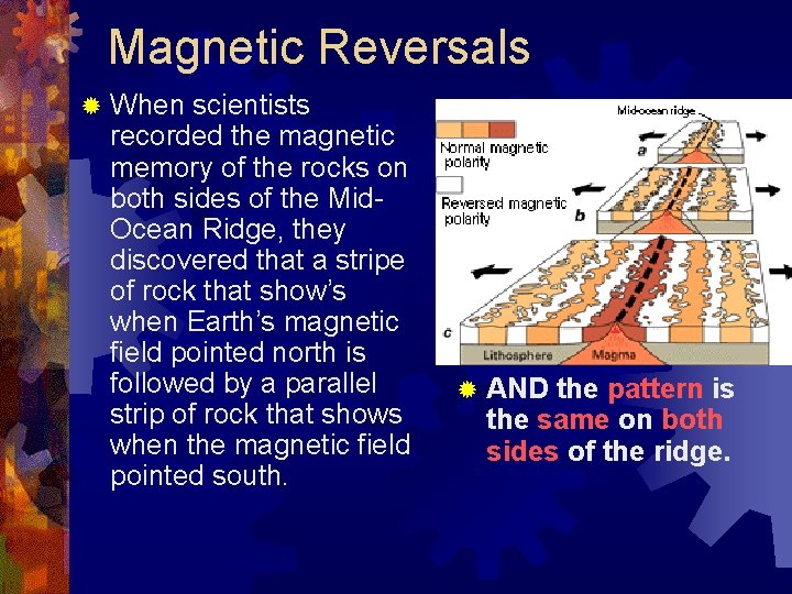 Magnetic Reversals ® When scientists recorded the magnetic memory of the rocks on both