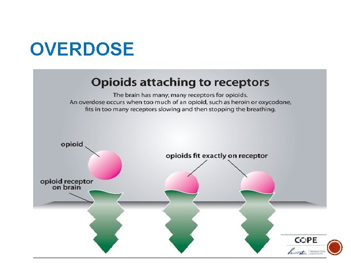 OVERDOSE 