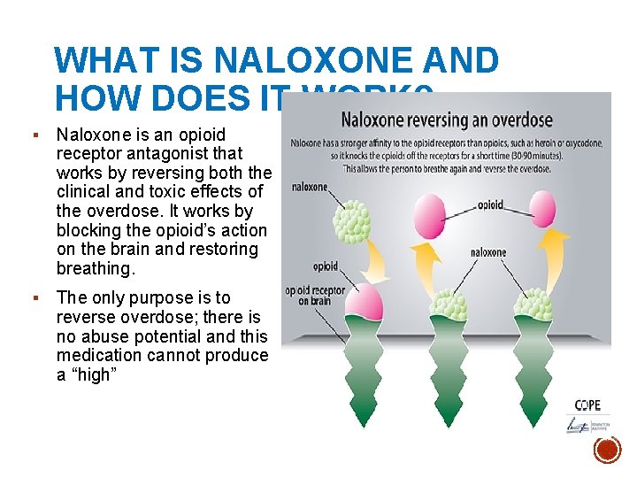 WHAT IS NALOXONE AND HOW DOES IT WORK? § Naloxone is an opioid receptor