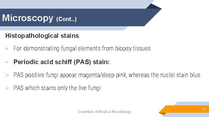Microscopy (Cont. . ) Histopathological stains ▰ For demonstrating fungal elements from biopsy tissues