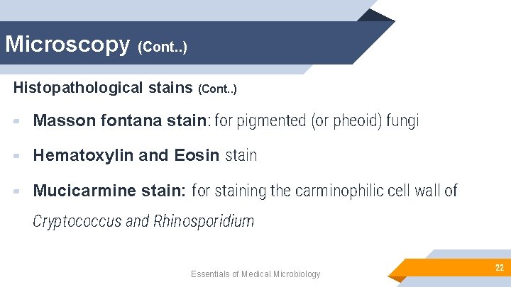 Microscopy (Cont. . ) Histopathological stains (Cont. . ) ▰ Masson fontana stain: for