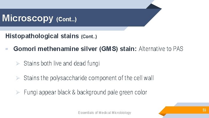 Microscopy (Cont. . ) Histopathological stains (Cont. . ) ▰ Gomori methenamine silver (GMS)