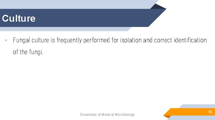 Culture ▰ Fungal culture is frequently performed for isolation and correct identification of the