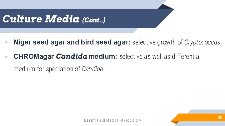 Culture Media (Cont. . ) ▰ Niger seed agar and bird seed agar: selective