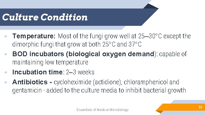 Culture Condition Temperature: Most of the fungi grow well at 25– 30°C except the