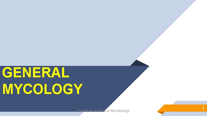 GENERAL MYCOLOGY Essentials of Medical Microbiology 3 