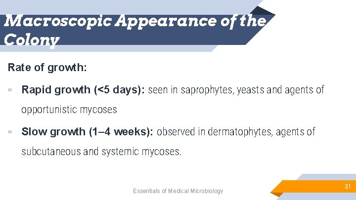 Macroscopic Appearance of the Colony Rate of growth: ▰ Rapid growth (<5 days): seen