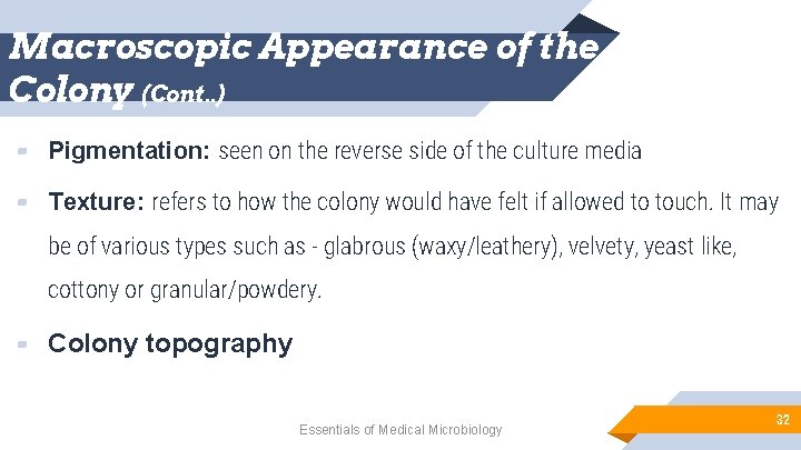 Macroscopic Appearance of the Colony (Cont. . ) ▰ Pigmentation: seen on the reverse