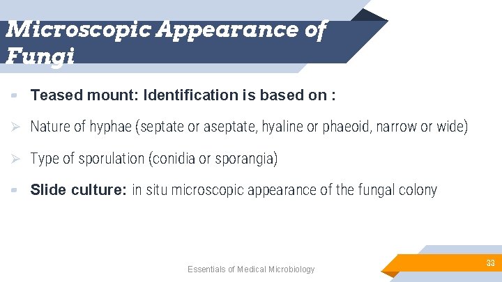 Microscopic Appearance of Fungi ▰ Teased mount: Identification is based on : Ø Nature