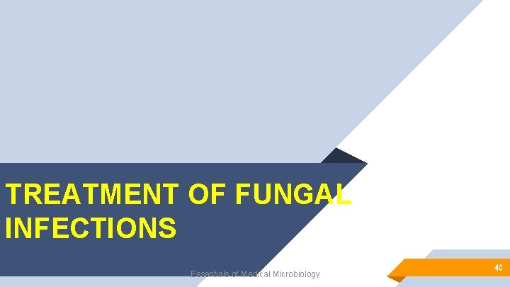 TREATMENT OF FUNGAL INFECTIONS Essentials of Medical Microbiology 40 