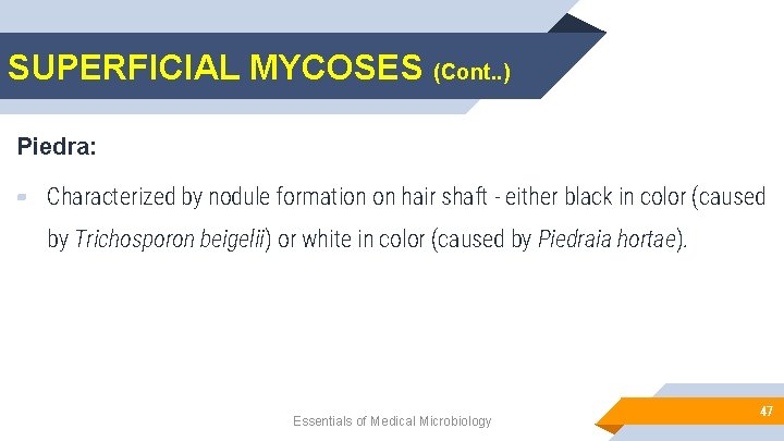 SUPERFICIAL MYCOSES (Cont. . ) Piedra: ▰ Characterized by nodule formation on hair shaft