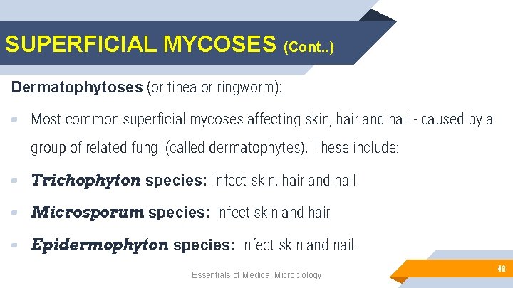 SUPERFICIAL MYCOSES (Cont. . ) Dermatophytoses (or tinea or ringworm): ▰ Most common superficial