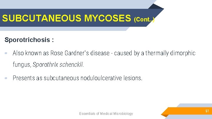 SUBCUTANEOUS MYCOSES (Cont. . ) Sporotrichosis : ▰ Also known as Rose Gardner’s disease