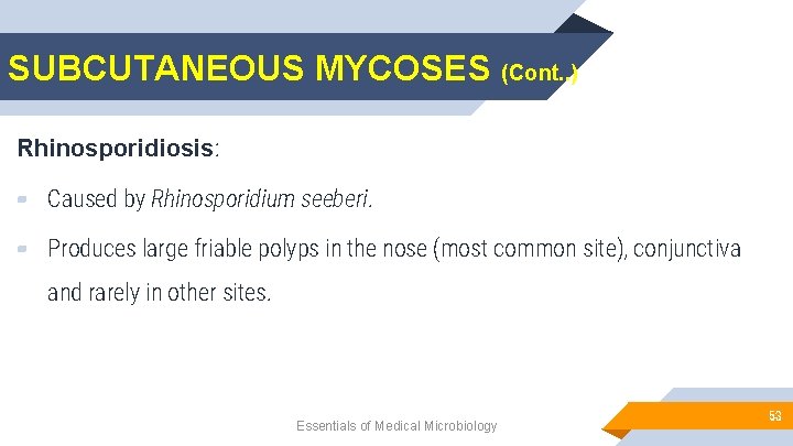 SUBCUTANEOUS MYCOSES (Cont. . ) Rhinosporidiosis: ▰ Caused by Rhinosporidium seeberi. ▰ Produces large