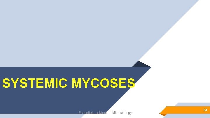 SYSTEMIC MYCOSES Essentials of Medical Microbiology 54 