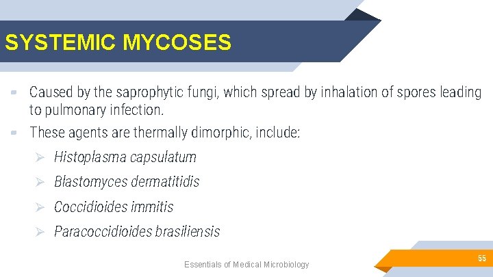 SYSTEMIC MYCOSES ▰ Caused by the saprophytic fungi, which spread by inhalation of spores
