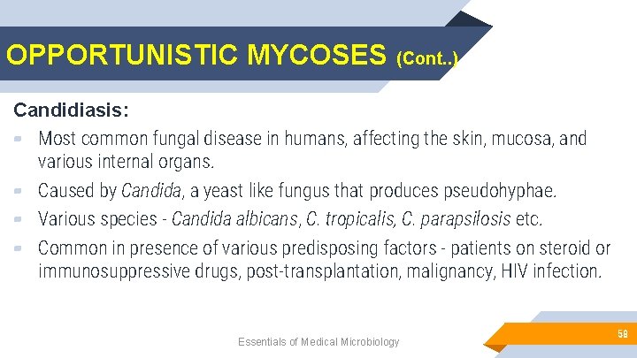 OPPORTUNISTIC MYCOSES (Cont. . ) Candidiasis: ▰ Most common fungal disease in humans, affecting