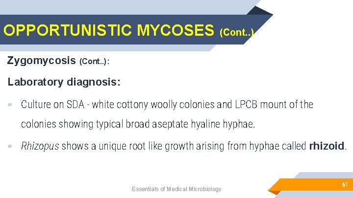 OPPORTUNISTIC MYCOSES (Cont. . ) Zygomycosis (Cont. . ): Laboratory diagnosis: ▰ Culture on