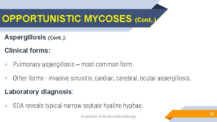 OPPORTUNISTIC MYCOSES (Cont. . ) Aspergillosis (Cont. . ): Clinical forms: ▰ Pulmonary aspergillosis