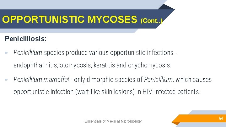 OPPORTUNISTIC MYCOSES (Cont. . ) Penicilliosis: ▰ Penicillium species produce various opportunistic infections -