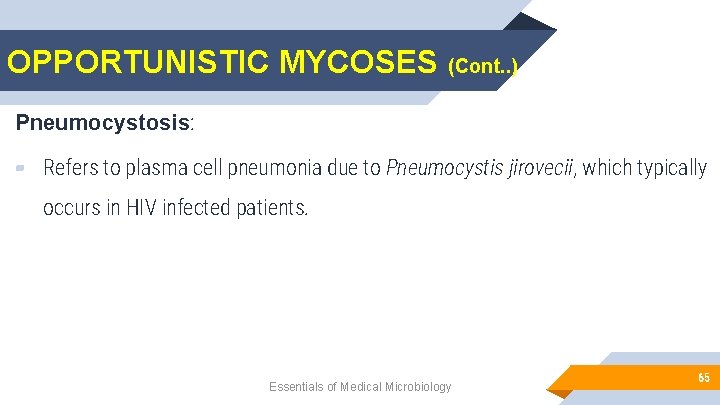 OPPORTUNISTIC MYCOSES (Cont. . ) Pneumocystosis: ▰ Refers to plasma cell pneumonia due to