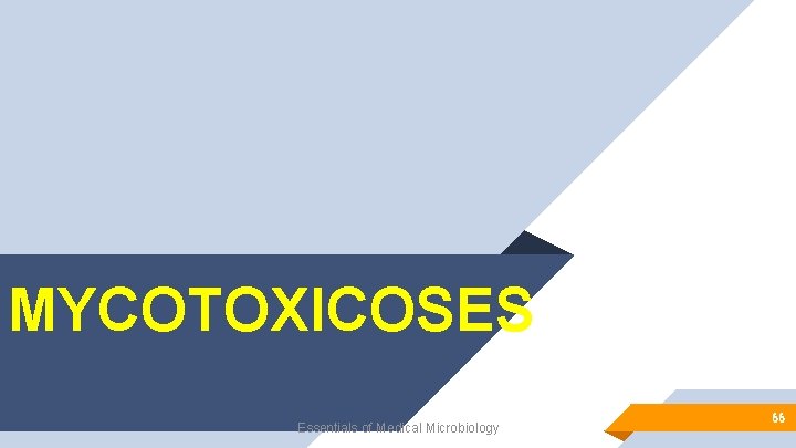 MYCOTOXICOSES Essentials of Medical Microbiology 66 