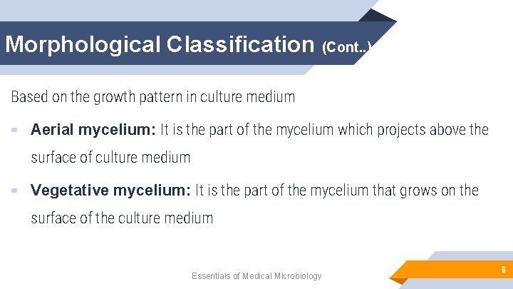 Morphological Classification (Cont. . ) Based on the growth pattern in culture medium ▰