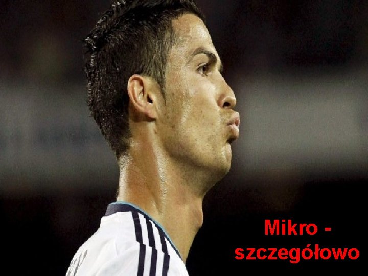 Mikro szczegółowo 
