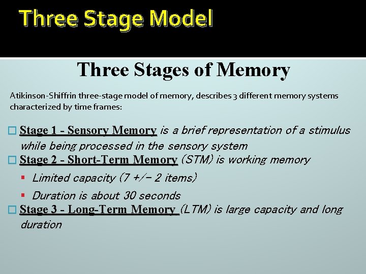 Three Stage Model Three Stages of Memory Atikinson-Shiffrin three-stage model of memory, describes 3