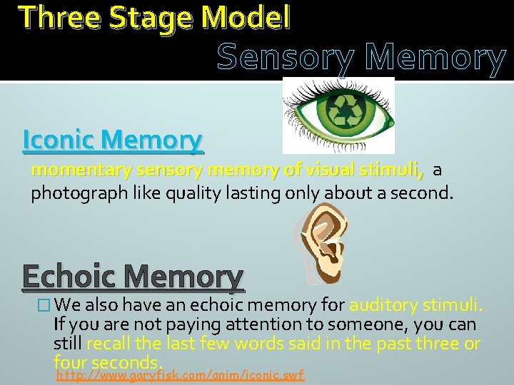 Three Stage Model Sensory Memory Iconic Memory momentary sensory memory of visual stimuli, a