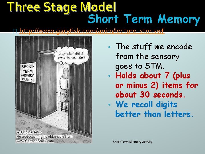 Three Stage Model Short Term Memory � http: //www. garyfisk. com/anim/lecture_stm. swf The stuff