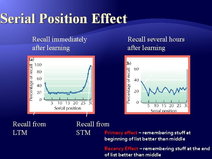 Serial Position Effect Recall immediately after learning Recall several hours after learning LTM Recall